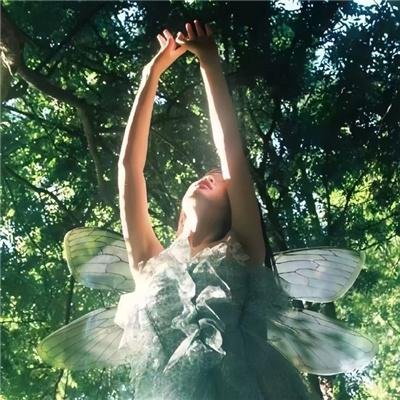 锦衣卫之夺命奇书